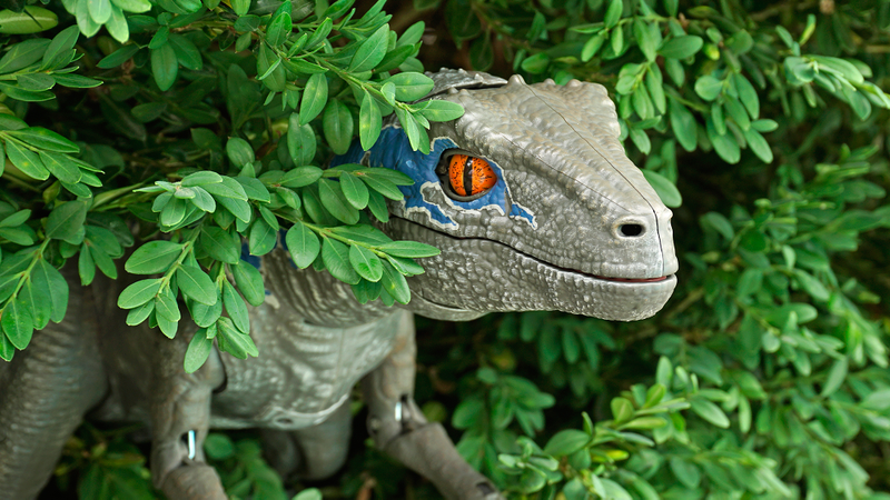 Clever girl...